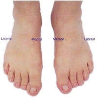 Topographical anatomy of the foot | MyFootShop.com